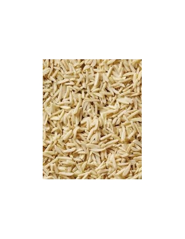 ALMENDRA PALITO C/10 KG.