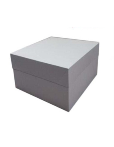 CAJA CATERING 63x42x12 BLANCA P/10