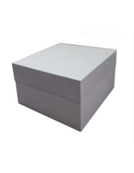 CAJA CATERING 63x42x12 BLANCA P/10