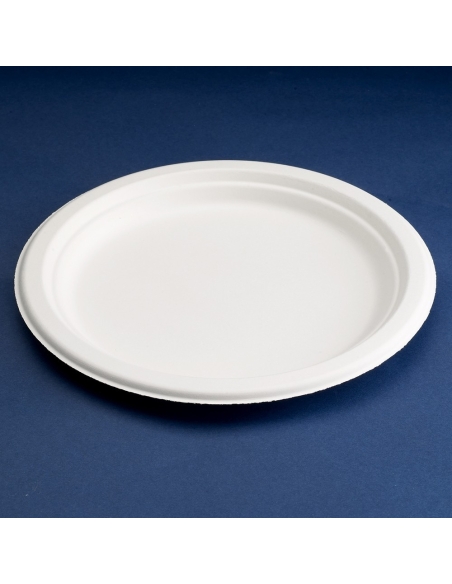 PLATO NATURE 22CM B/50 C/400   3338