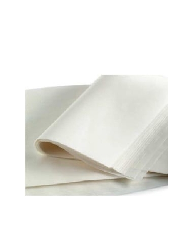 PAPEL HORNO SILICONADO 40X60  C/500h