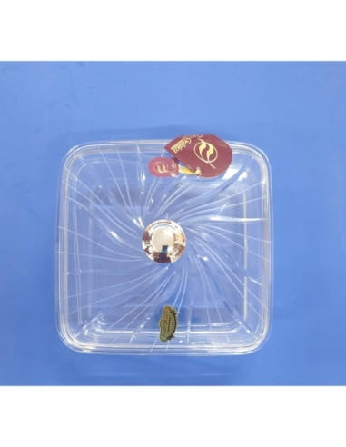 BOMBONERA FENICE CUADRADA CON LINEAS 850 CON...