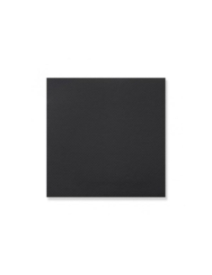 SERVILLETAS P&P NEGRO 20X20 P/100 C/3000 T222027