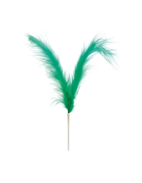 PLUMAS DOBLES VERDES 22CM P/200 UND
