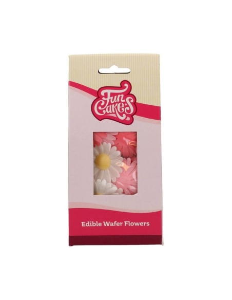 MARGARITAS  OBLEA 13 UN DAISY F53230