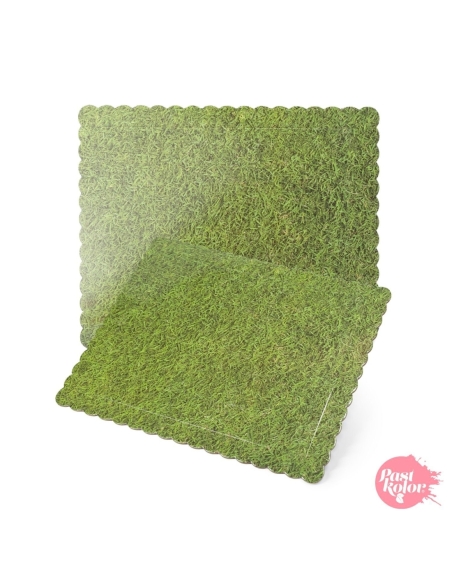 BASE TARTA RECTANGULAR CESPED 40X30 CM