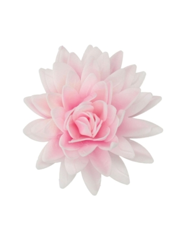 PEONIA ROSA GIGANTE OBLEA FUNCAKES FC1114